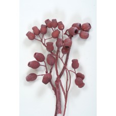 BELLGUM BRANCH Frosted Red 5-7 Pods